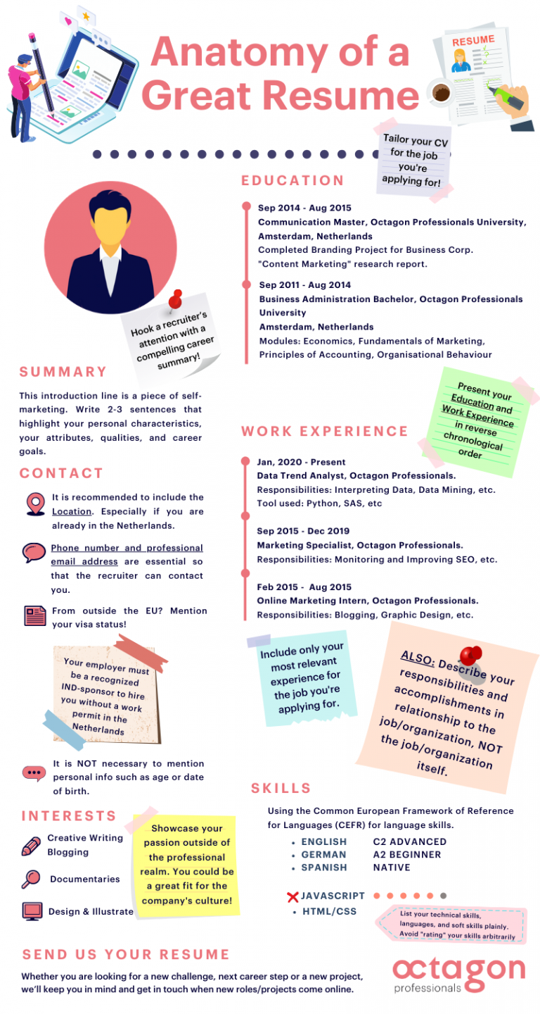 Anatomy of a Great Resume - Infographic Anatomy Of Resume 768x1440 