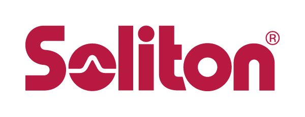 Soliton Systems